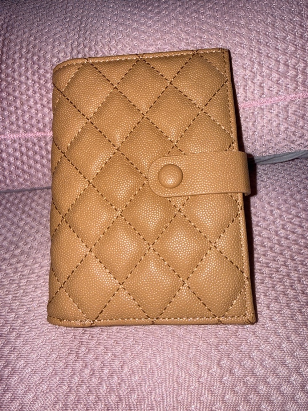 Beige Passport Holder Card Wallet